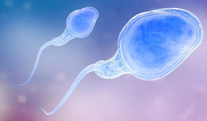В прееякулата на мъжа може да има сперматозоиди